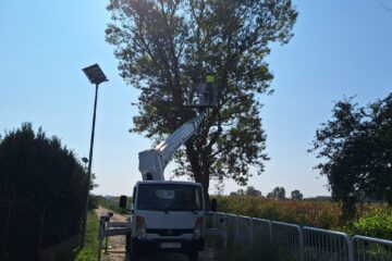 Pielęgnacja drzew Wrocław