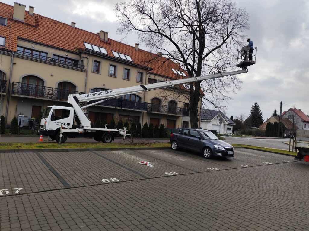 regularna pielęgnacja drzew