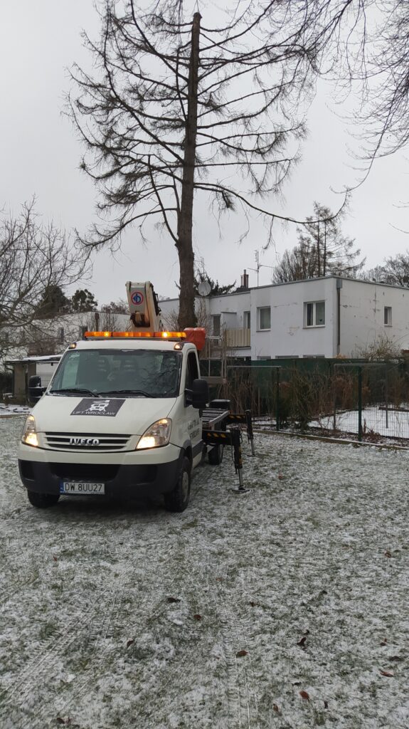 wycinka i pielęgnacja drzew we wrocławiu