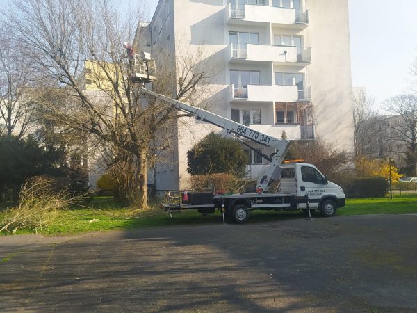 Pielęgnacja drzew Wrocław