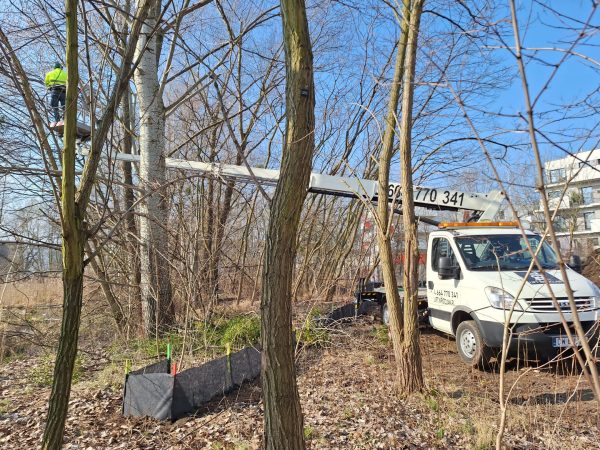 lift wroclaw praca w trudnym terenie