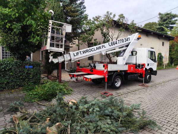 pielęgnacja drzew wrocław lift wroclaw 664770341 przycinanie